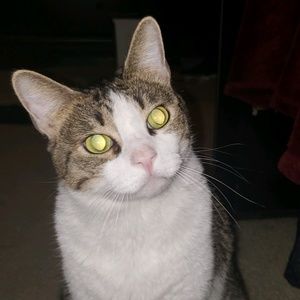 Meet your Posher, Kelly